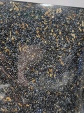 POPPY SEEDS UK 5 Lb 