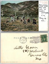 Gathering Poppies Field Scene Postcard