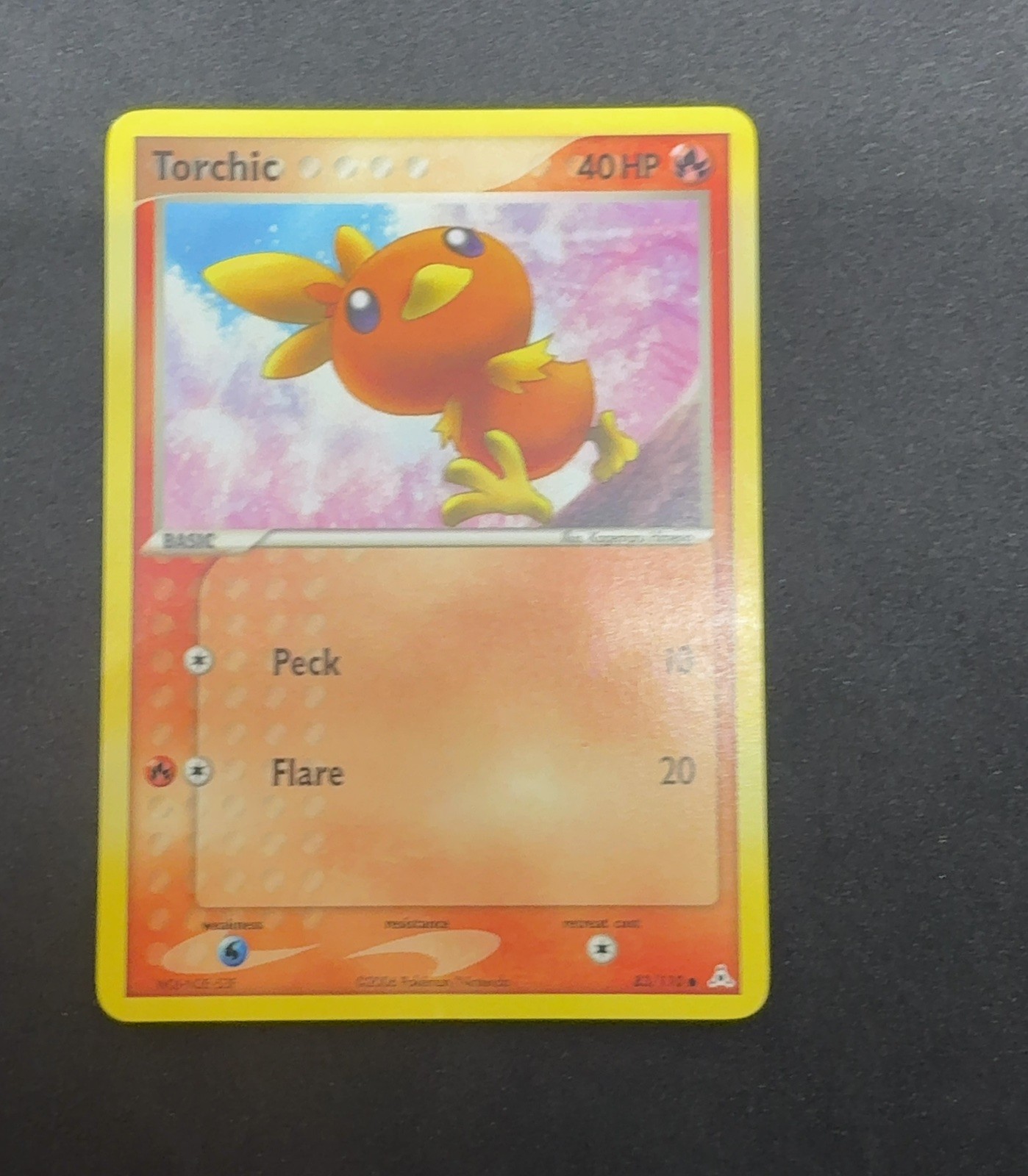 Torchic [DR - 77/97]