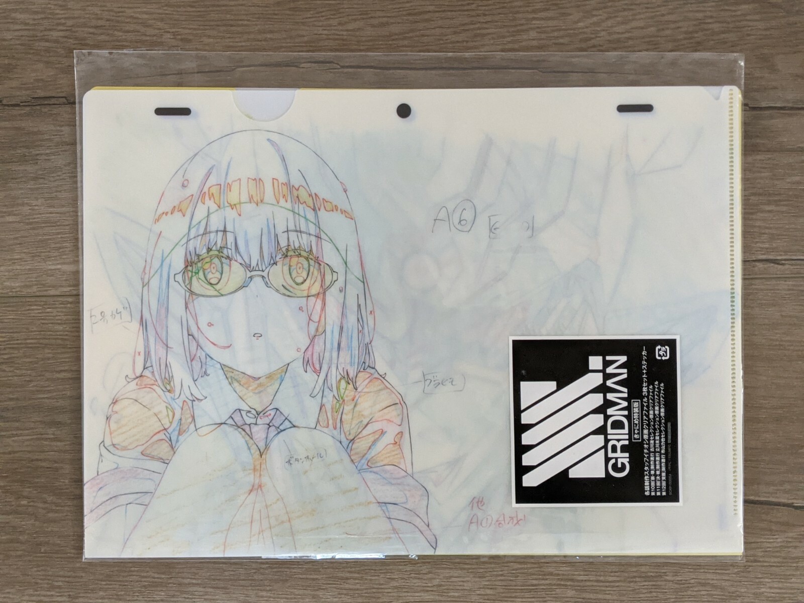 SSSS.GRIDMAN原画クリアファイル 【公式通販】