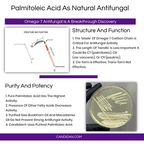 Candidan® Erase Kills Candida auris Natural Antifungal 16 OZ Spray