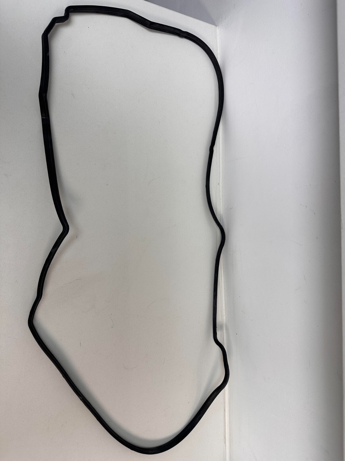 LOTUS GASKET-CYLINDER HEAD COVER Part Number: A120E6119S