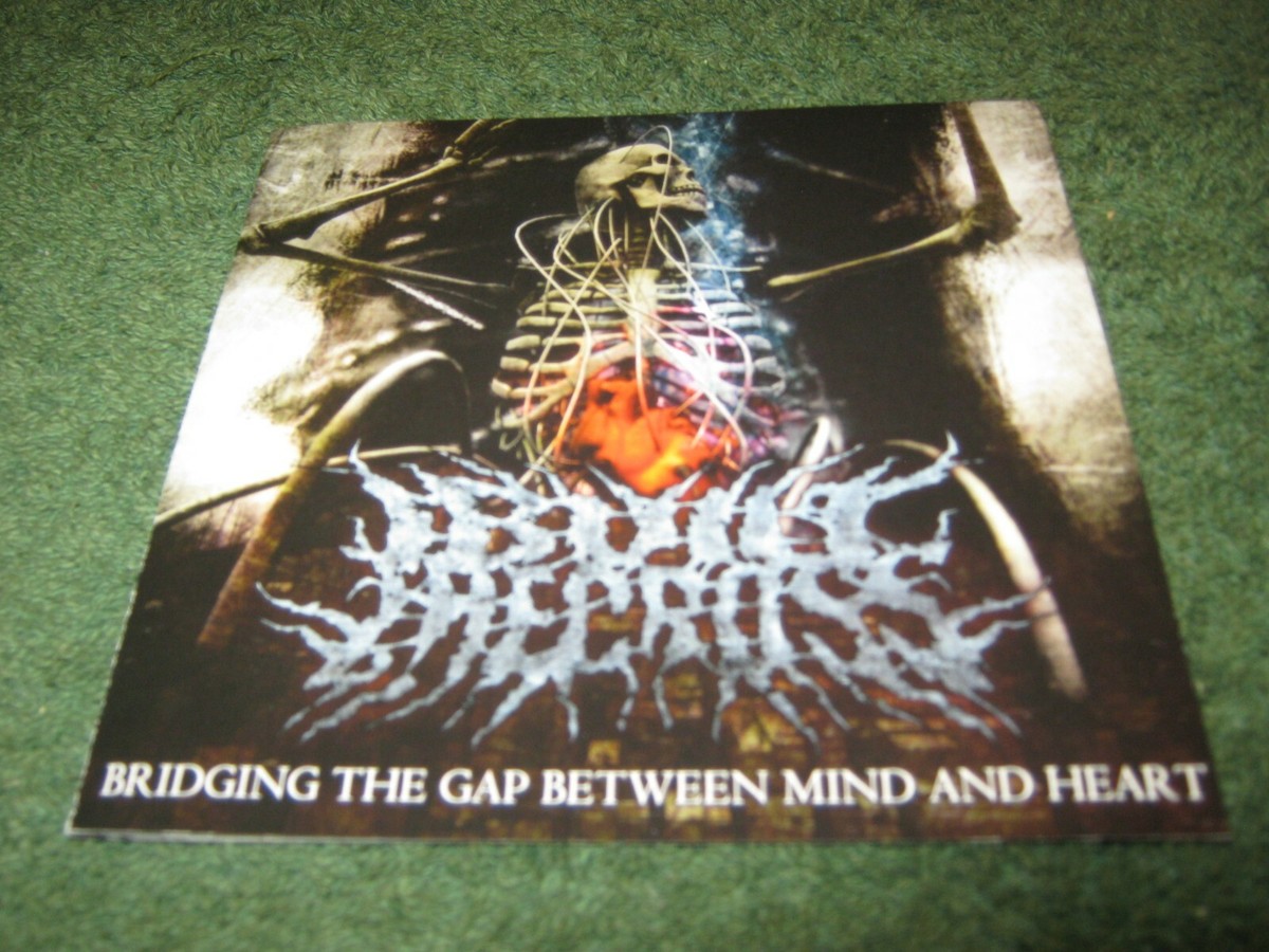 I Built The Cross - Bridging The Gap Between Mind And Heart (cd