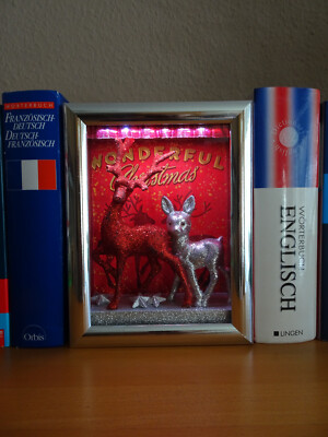 Book Nook Book Shelf Insert LED Weihnachten Wonderful Christmas Geschenk Unikat