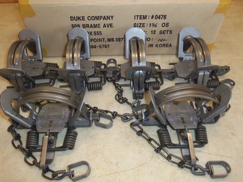 6 New Duke # 1 3/4 OFFSET Coil Spring Traps 0476 Coyote Bobcat Fox Trapping