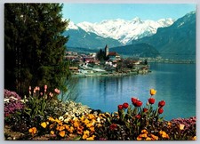 Postcard Village of Brienz, Lake Brienz in the Bernese Oberland Swiss Region