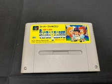 Hakunetsu Pro Yakyuu Ganba League baseball Super Famicom SHVC-GL image