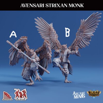 3D Printed Sordane Publishing Arcane Minis Avensari Strixan Monk Mighty Skies A