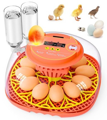 Automatica Incubadora De 12-24 Huevos Encubadora Gallina Pato Egg Incubator USA