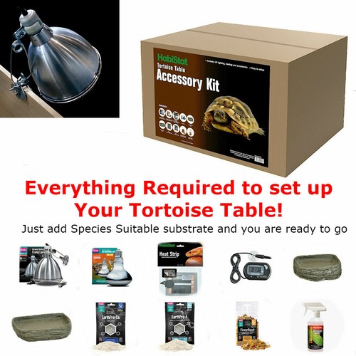 complete tortoise starter kit