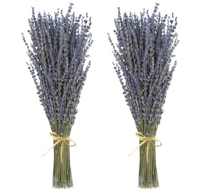 Dried Lavender 2 Bunches 100% Fresh Natural Purple 2 Lavender, Mixed 