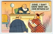 Vintage 1940s Linen Comic Postcard Judge Cartoon Saying Divided Back