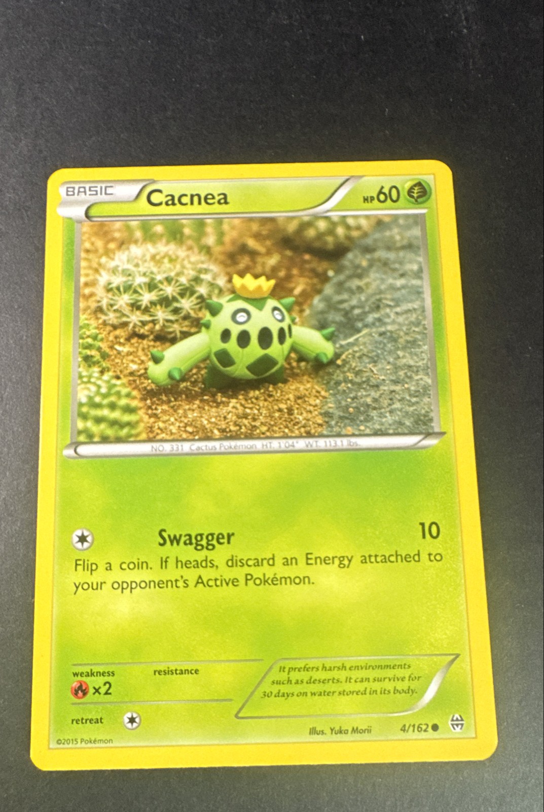 Cacnea 4/162 Breakthrough Regular