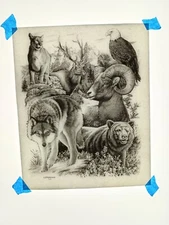 Authentic Vintage 90's American Wildlife Nature Animal Heat Transfer Iron On NOS