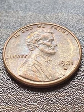 1981 D Penny Error Variety Lincoln Memorial D/D Filled “D” Actual Coin TK4231*