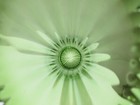 Bild 5 von 10