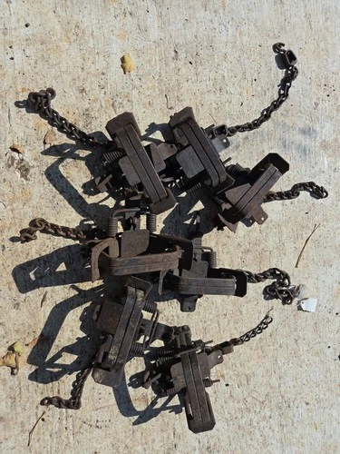 Lot Of 7 Montgomery Step-in Number 2 Coil Spring Trap Trapping Traps