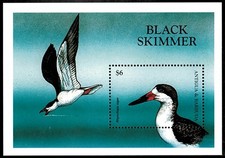 Antigua 1998 - Black Skimmer, Birds - Souvenir Stamp Sheet - Scott #2209 - MNH