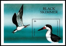 Antigua 1998 - Black Skimmer, Birds - Souvenir Stamp Sheet - Scott #2209 - MNH