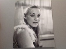 GENEVIÈVE GRAD - Photo de pres…