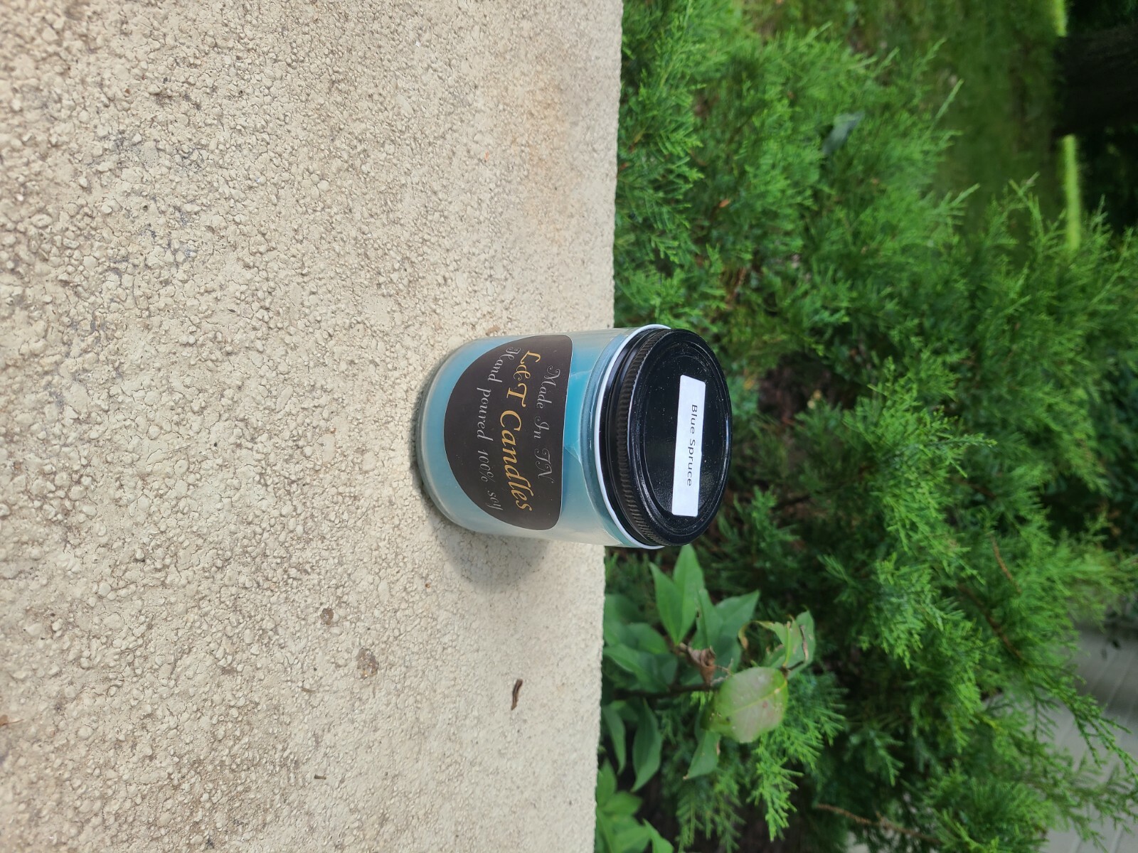 candles 100% soy blue spruce-image