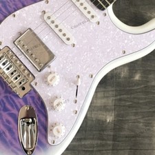 Solid Electric Guitar Quilted Maple Top Rosewood Fretboard Tremolo Bridge Purple