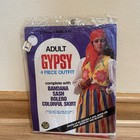 Vintage Ben Cooper Adult Gypsy Vinyl Halloween Costume - NOS 1980s