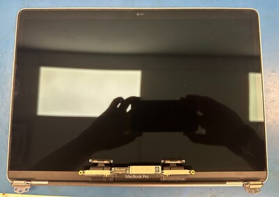 Genuine Apple MacBook Pro 13 A1708 2017 Space Gray Display LCD Assembly As-is