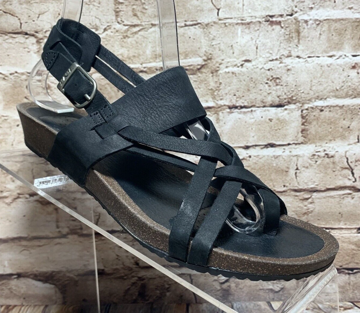 Ysidro extension best sale teva