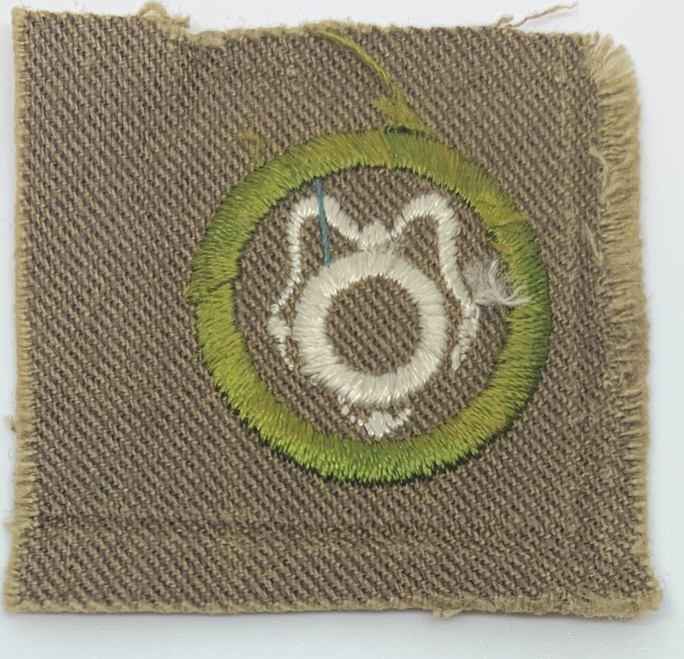 Boy Scout Merit Badge Type AA Lifesaving 1 (15) eBay