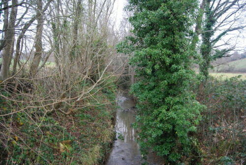 Photo 6x4 Small tributary of the River Rother, South of Squibs Farm North c2008 - Picture 1 of 1