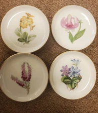 Set of 4 porcelain coaster trinket dishes Botanical floral pattern, 3 5/8"