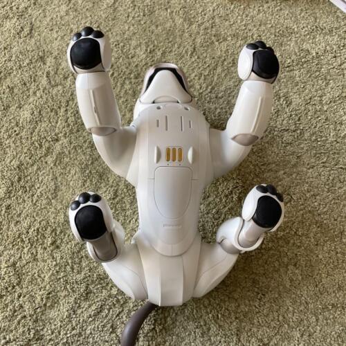 Aibo Haupteinheit ERS1000 mit Product Key SONY Spielzeug Hobbys Ware Hund Haustier - Bild 4 von 10