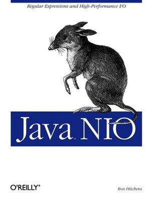 Java NIO : Regular Expressions and High-Performance I/o Paperback