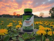 Nature's Way Dandelion Root Traditional Diuretic Herb Exp 07/2029 * 100 Caps *