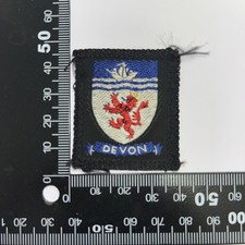 Boy Scout - English County Badge Devon  (A41) 