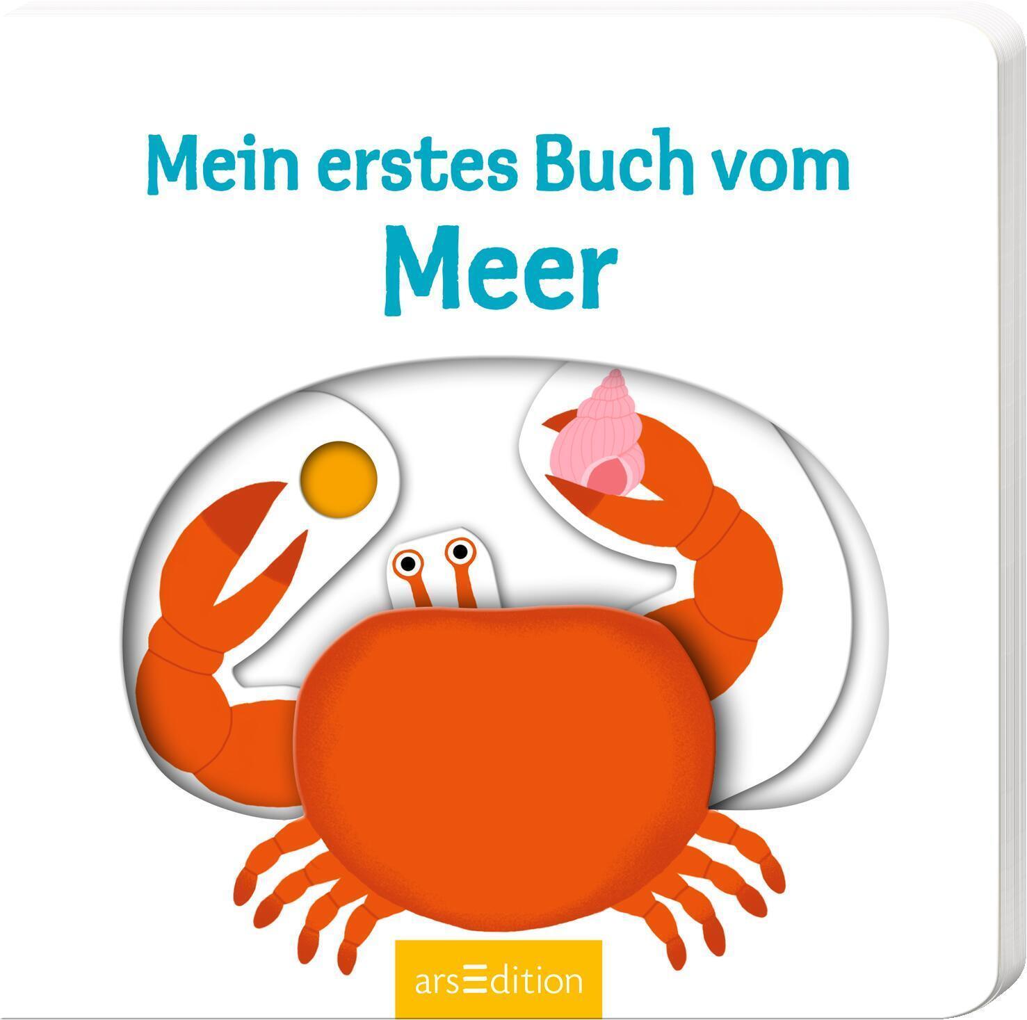 Mein Erstes Buch Vom Meer Nathalie Choux