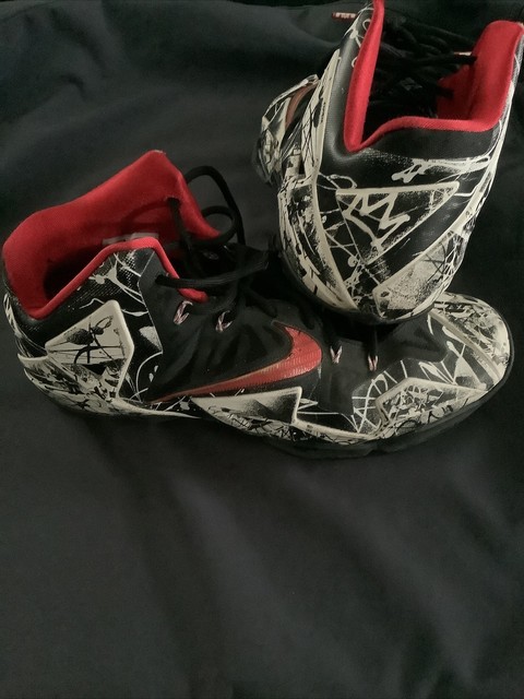 nike lebron james 11