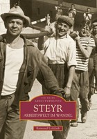 Raimund Locicnik | Steyr | Taschenbuch | Deutsch (2016) | Arbeitswelt Im Wandel