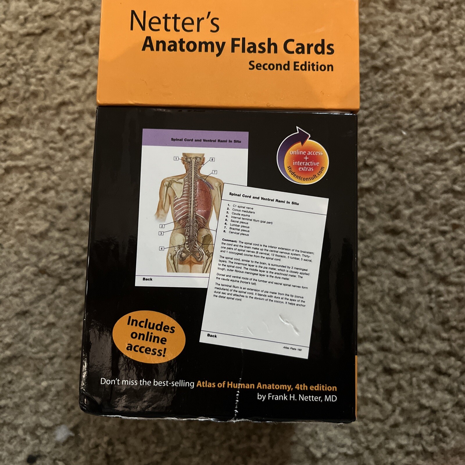 Netter's Anatomy Flash Cards by John T. Hansen 2nd Ed 2006