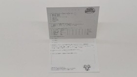 [Rare] Bubble Symphony VING SEGA Saturn Retro Game T-19905G A6500