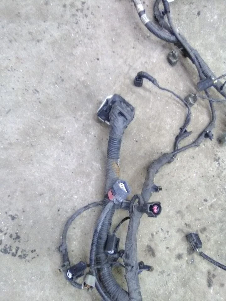 Arnés de cables del motor Ford E350SD 2013 Super Duty 5,4 litros Foto 2 de 4