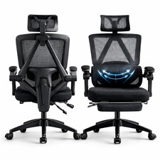 Executive Ergonomic Office Chair–Adjustable Headrest, Mesh Back, Lumbar Support