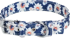 Adjustable Dog Collar with Floral Print for X-Small Dogs