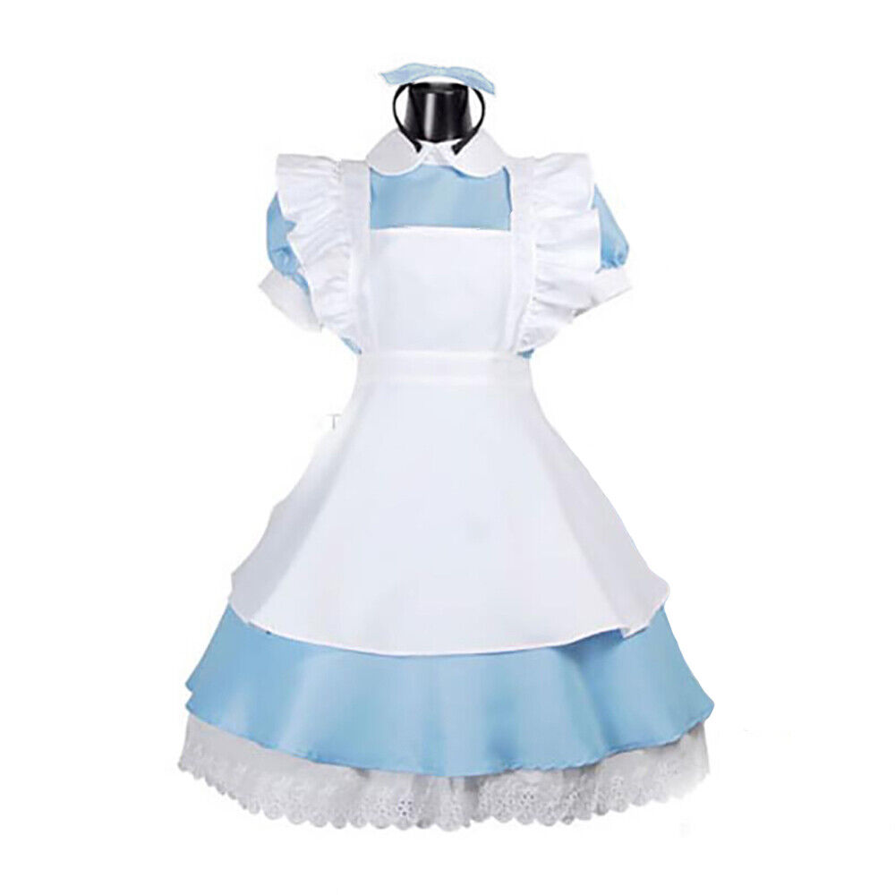 Adult Alice In Wonderland Costume Book Day 7 Sizes Fancy Dress | eBay