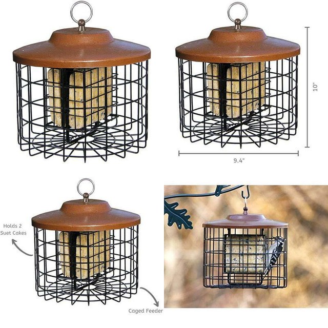 Squirrel X Squirrel Proof Double Suet Feeder Cage Bird Feeder 2