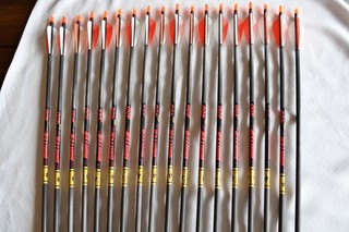 Goldtip Hunter 400 arrows