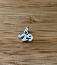 Sterling Silver 9x9mm Small '29 Birth Anniversary Wedding Graduation 2029 Charm