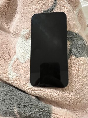 Apple iPhone 13 Pro - 256 GB - Silver (Unlocked)