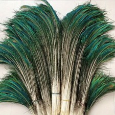 10x Natural Peacock Feathers Decor for Craft Home Vase Wedding Party Plumas New